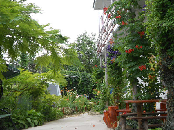 Гостевой дом «Цветочный рай» в Феодосии