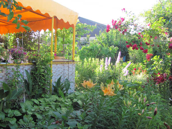 Гостевой дом «Цветочный рай» в Феодосии